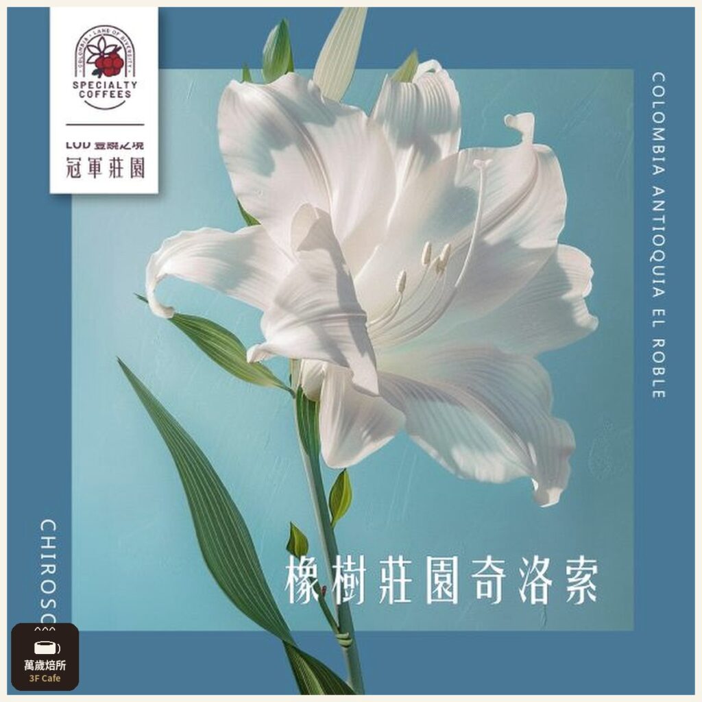 主圖