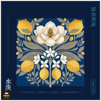 2026 水洗夏茉卡｜TOP G1｜耶加雪菲｜74110｜水洗｜頂級 G1