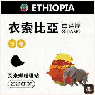 2026 衣索比亞｜TOP G4｜日曬｜瓦米娜處理站 Wamena｜Sidamo 西達摩