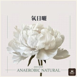 2025 厭氧日曬茉香柚|烏拉嘎|TOP G1|可如蜜