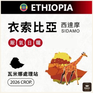 2026 衣索比亞｜TOP G4｜厭氧日曬｜瓦米娜處理站 Wamena｜Sidamo 西達摩