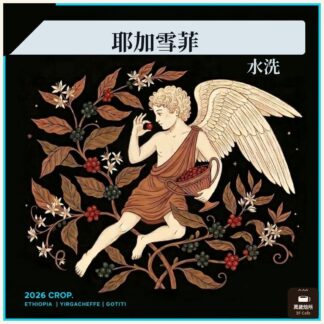 2026 水洗天使藝伎｜衣索比亞｜耶加雪菲｜果丁丁