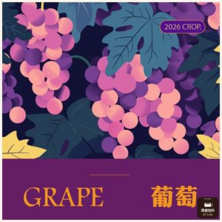 葡萄｜水洗特殊後製｜蕙蘭｜Excelso｜Castillo 卡斯提優